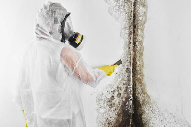 Best Crawl Space Mold Removal  in Garrison, MD