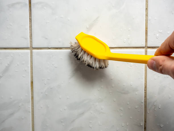 Best Mold Remediation Services  in Garrison, MD