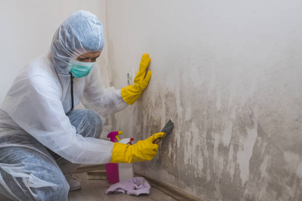 Best Water Damage Restoration  in Garrison, MD
