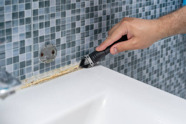 Best Mold Damage Repair  in Garrison, MD