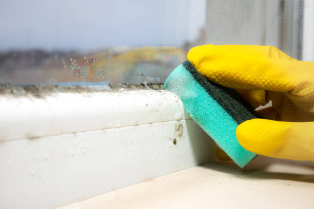 Best Mold Testing  in Garrison, MD