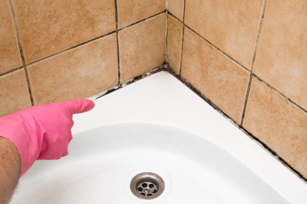 Best Toxic Mold Removal  in Garrison, MD